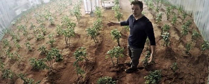 מארק וואטני מהסרט "להציל את מארק וואטני" מציג לראווה את תפוחי האדמה שגידל. פורמאלית הם אינם שלו. קרדיט: 20th Century Fox